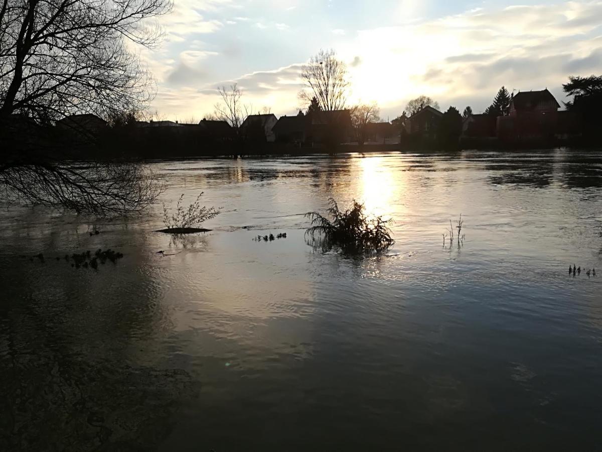 Bed and Breakfast Les Pingouins De La Marne Le Perreux-Sur-Marne Esterno foto